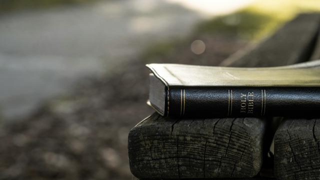 bible_bench_book_unsplash