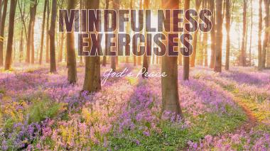 Mindfulness Moments