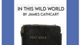 In This Wild World - Poem