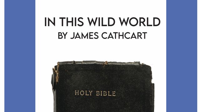 In This Wild World - Poem