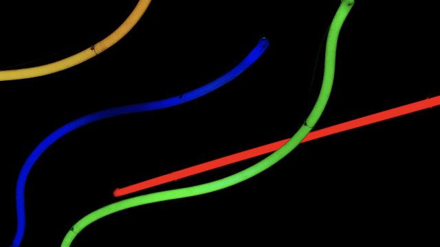 abstract_colourful_lines_unsplash