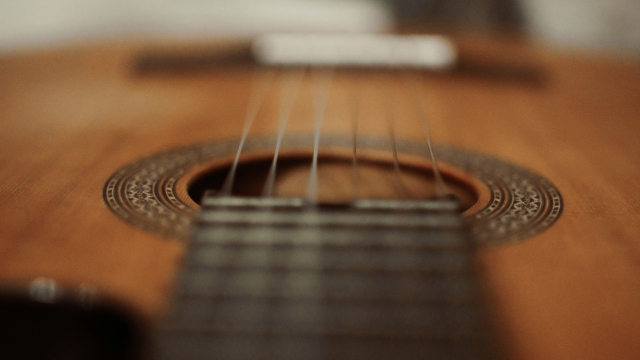 acoustic_guitar_strings_fret_unsplash