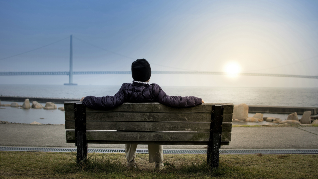 bench_sunset_ocean_bridge_unsplash