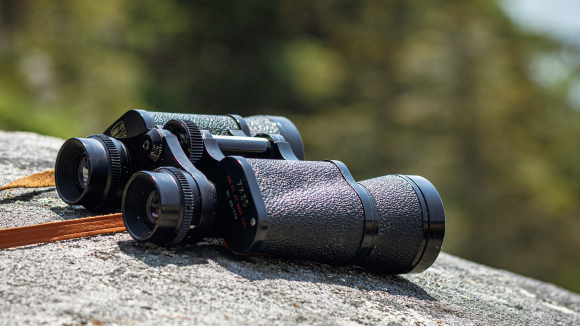 The things that are above