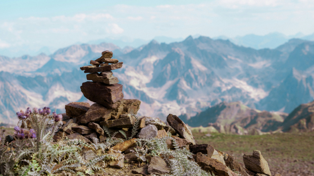 cairn_mountain_flowers_unsplash