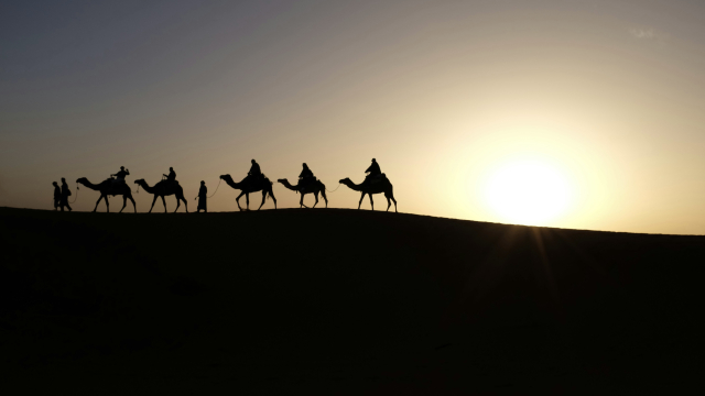 camel_train_desert_sun_unsplash
