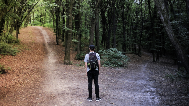 crossroads_backpack_hiking_unsplash