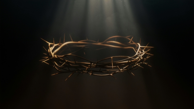 crown_of_thorns_light_unsplash