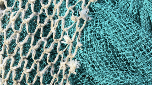 “Come follow me! We’ll chart a new kind of sea together!”