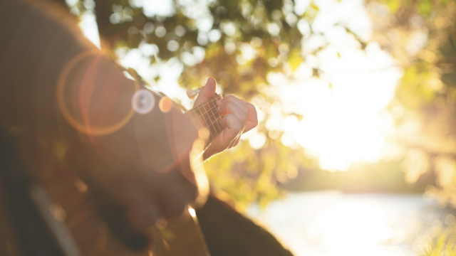 guitar_sun_rays_trees_lake_unsplash