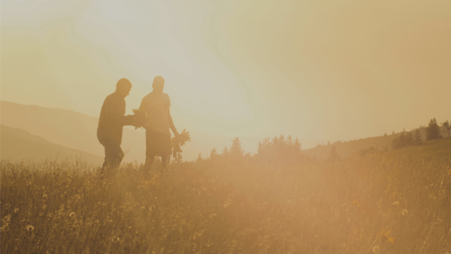 harvesting_field_agriculture_unsplash
