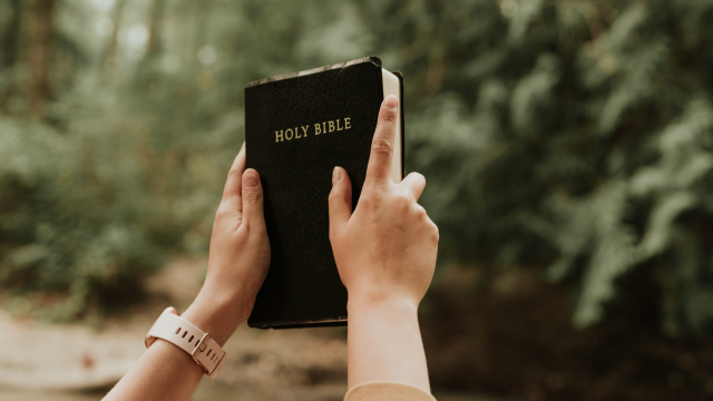 holding_bible_forest_hands_unsplash