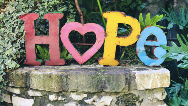 hope_heart_garden_unsplash