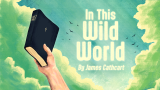 In This Wild World - Poem