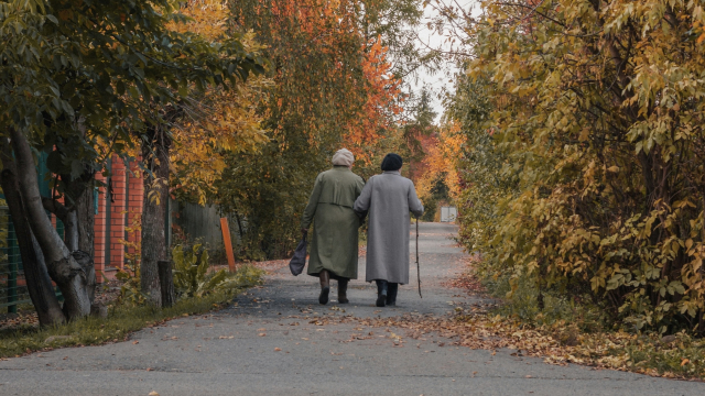 old_friends_walking_together