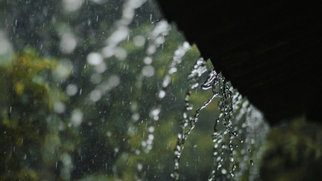 shelter_rain_trees_unsplash