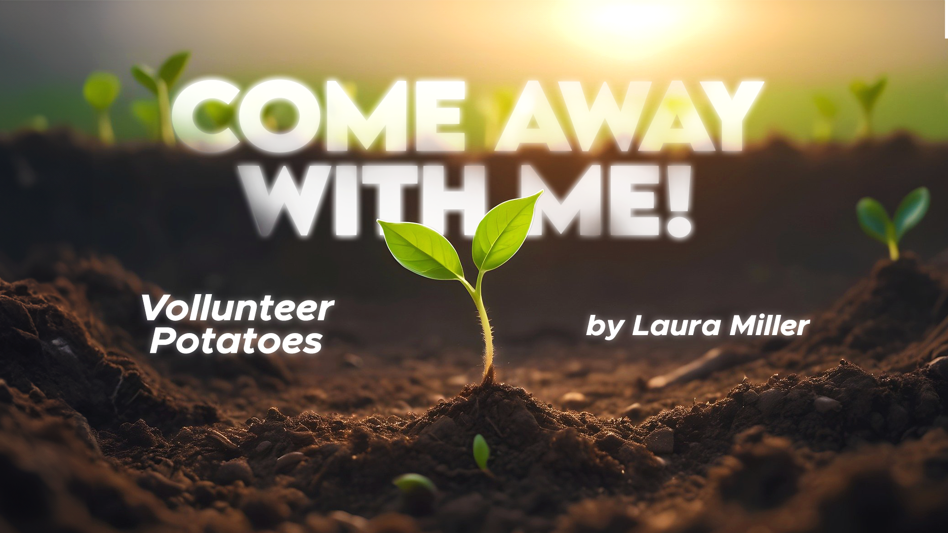 Come Away With Me: Volunteer Potatoes